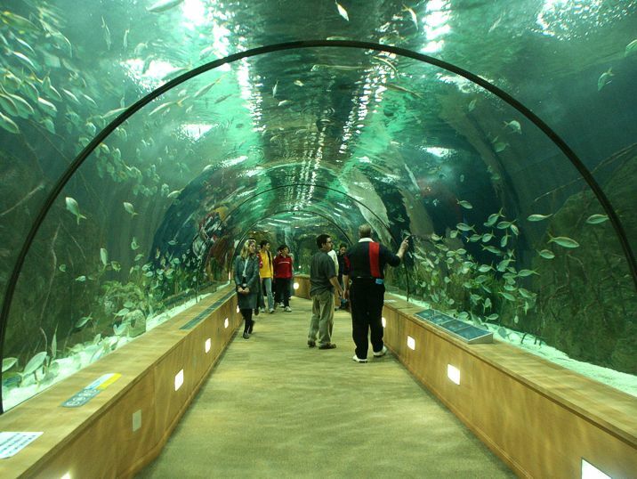 Click to See Next Image